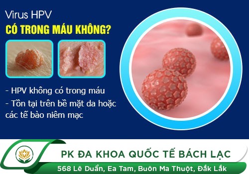 Trị Virus HPV Bằng Thuốc Có Hiệu Quả Không