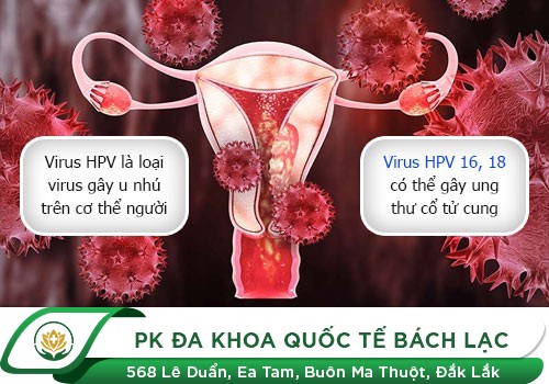 Sùi Mào Gà - Condyloma Acuminatum - Là Bệnh Gì? Cách Điều Trị