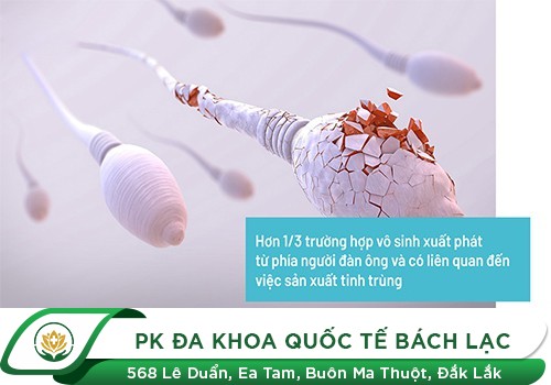 Dấu Hiệu Cảnh Báo Vô Sinh Ở Nam Giới